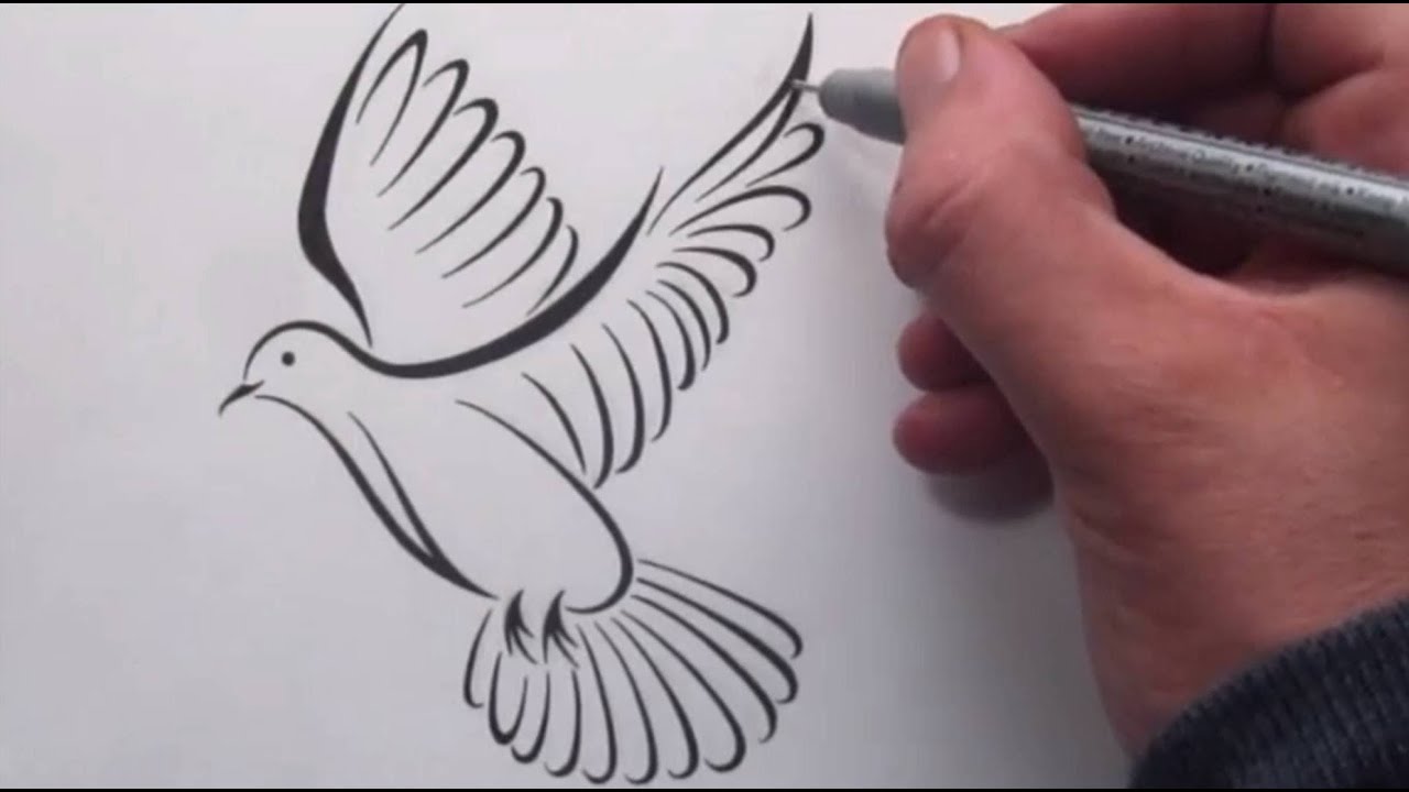 1280x720 How To Draw A Tribal Dove Tattoo Design - Dove Tattoo Drawing