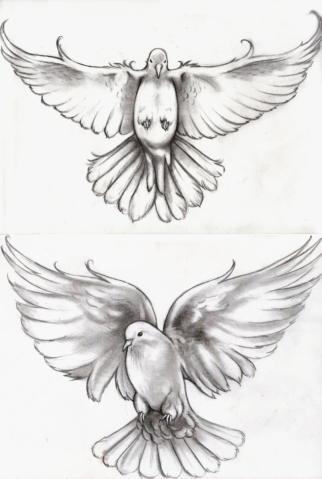 1024x1524 Two Flying Dove Tattoo Design - Dove Tattoo Drawing