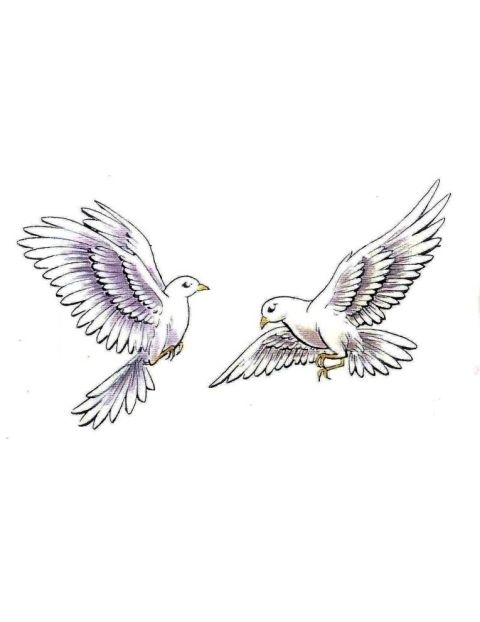480x622 Dove Tattoos - Dove Tattoo Drawing