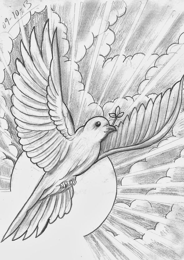 589x831  - Dove Tattoo Drawing