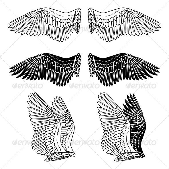 590x590 Dove Wings - Dove Wings Drawing