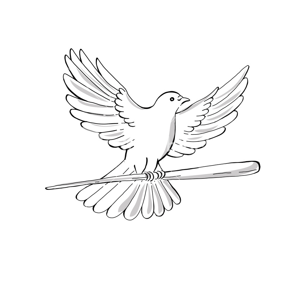 1000x1000 Drawing Sketch Style Illustration Of A Soaring Dove Or Pigeon - Dove Wings Drawing