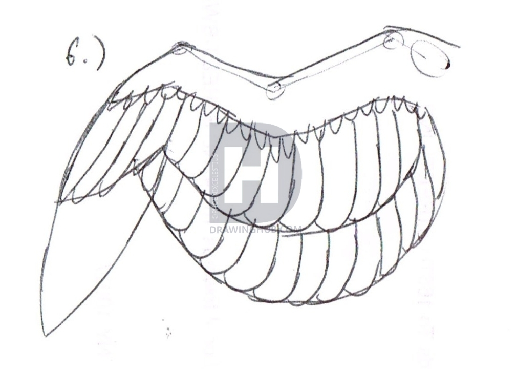 1010x720 How To Draw A Simple Bird Wing, Step - Dove Wings Drawing