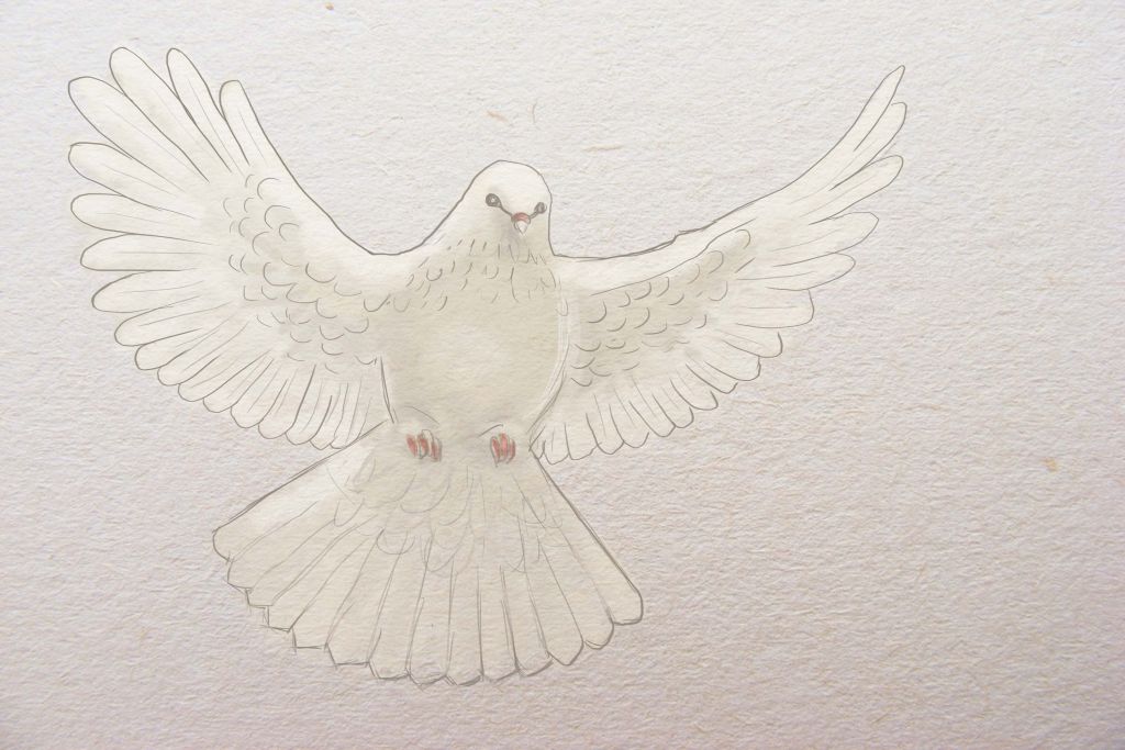 1024x683 How To Draw A Dove - Dove Wings Drawing