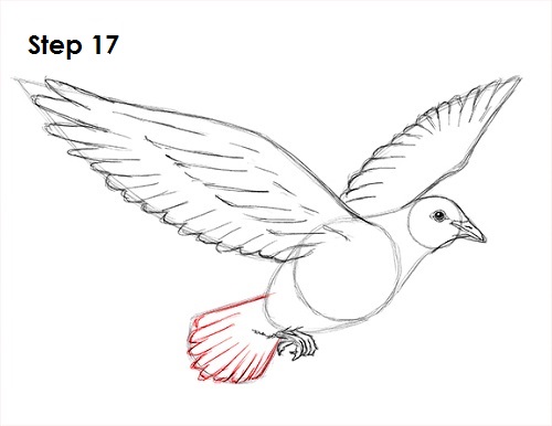 500x386 Huge Collection Of 'dove Wings Drawing' Download More Than - Dove Wings Drawing