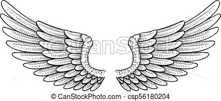 450x207 tattoo style wings rough sketchy vector open white wings - Dove Wings Drawing