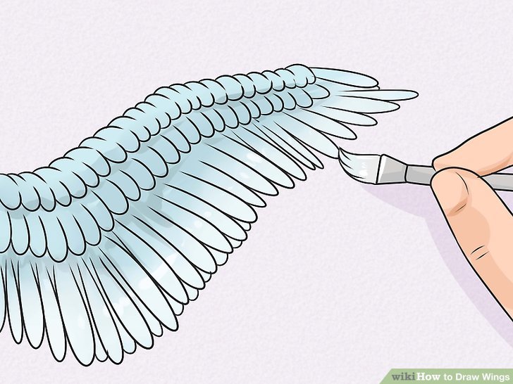 728x546 Ways To Draw Wings - Dove Wings Drawing