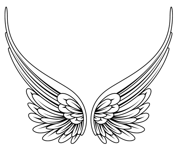 600x497 Wings Dove Wing Transparent Png Clipart Free Download - Dove Wings Drawing