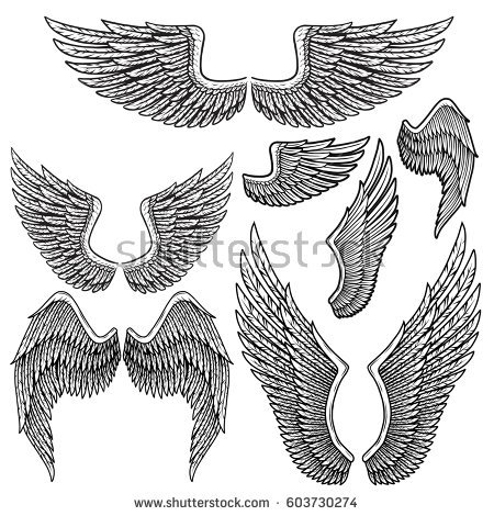 450x470 Wings Drawing - Dove Wings Drawing