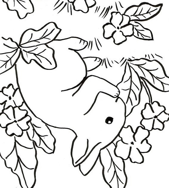 567x630 Drawing Upside Down - Down Drawing