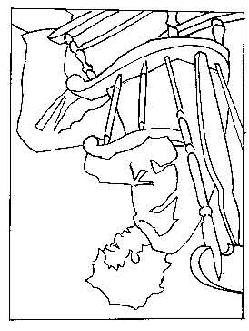 274x363 Drawing Basics Patrick Fanning's Artworks - Down Drawing