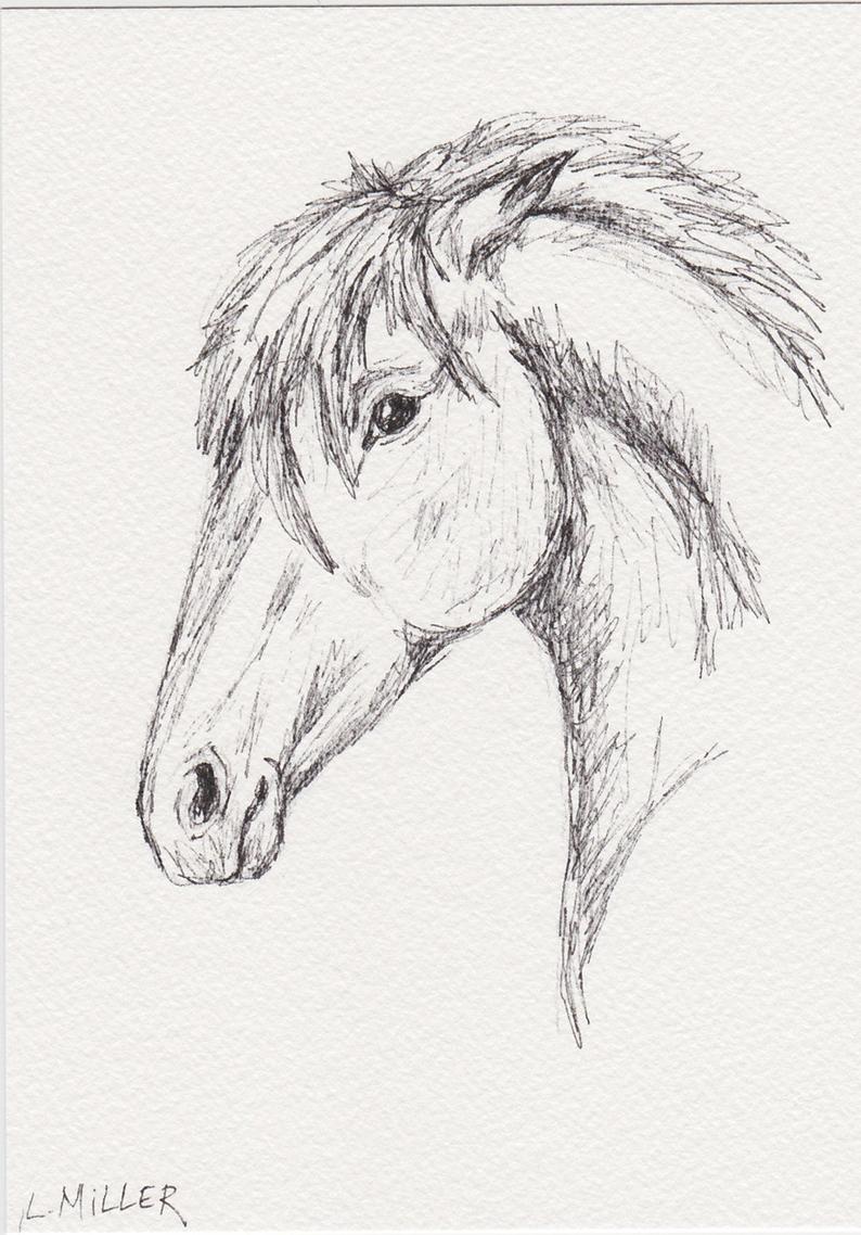 794x1138 draft horse sketch equine art horse portrait drawing etsy - Draft Horse Drawing