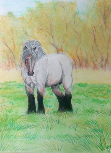 375x516 draft horse stallion drawing - Draft Horse Drawing