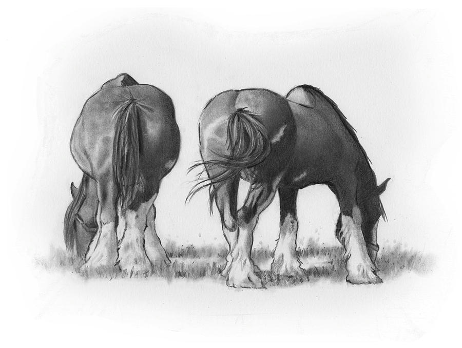 900x678 draft horses eating drawing - Draft Horse Drawing