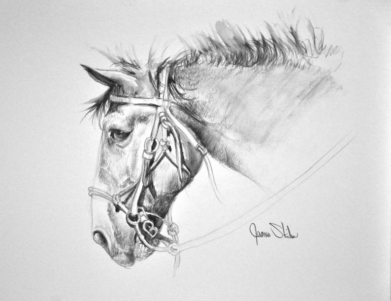 794x611 original pencil drawing draft horse etsy - Draft Horse Drawing