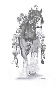 194x300 shire draft horse ltd edition art drawing prints sizes - Draft Horse Drawing