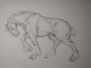 360x270 sketchbook - Draft Horse Drawing