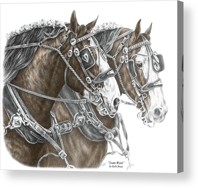 665x630 team work - Draft Horse Drawing