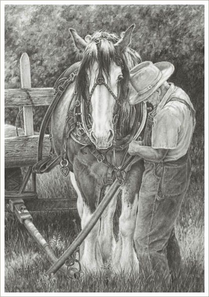 418x592 this picture is how i wish to see my dad with my horses - Draft Horse Drawing