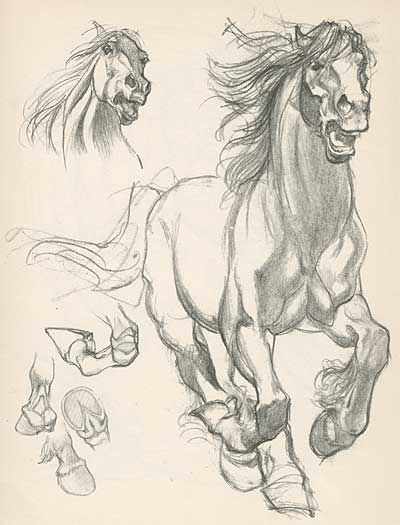 400x525 willy pogany character design references find more - Draft Horse Drawing