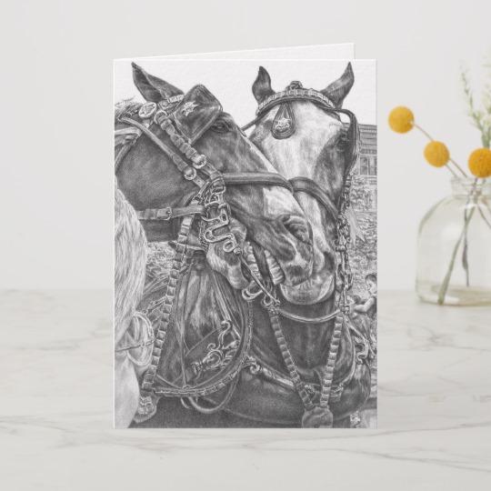 540x540 clydesdale draft horse drawing - Draft Horse Drawing