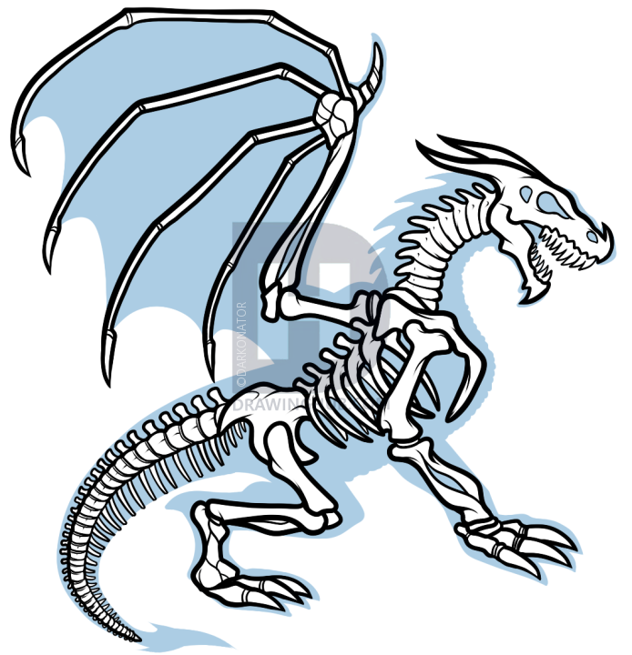 694x720 Drawing Dragon Anatomy, Step - Dragon Anatomy Drawing