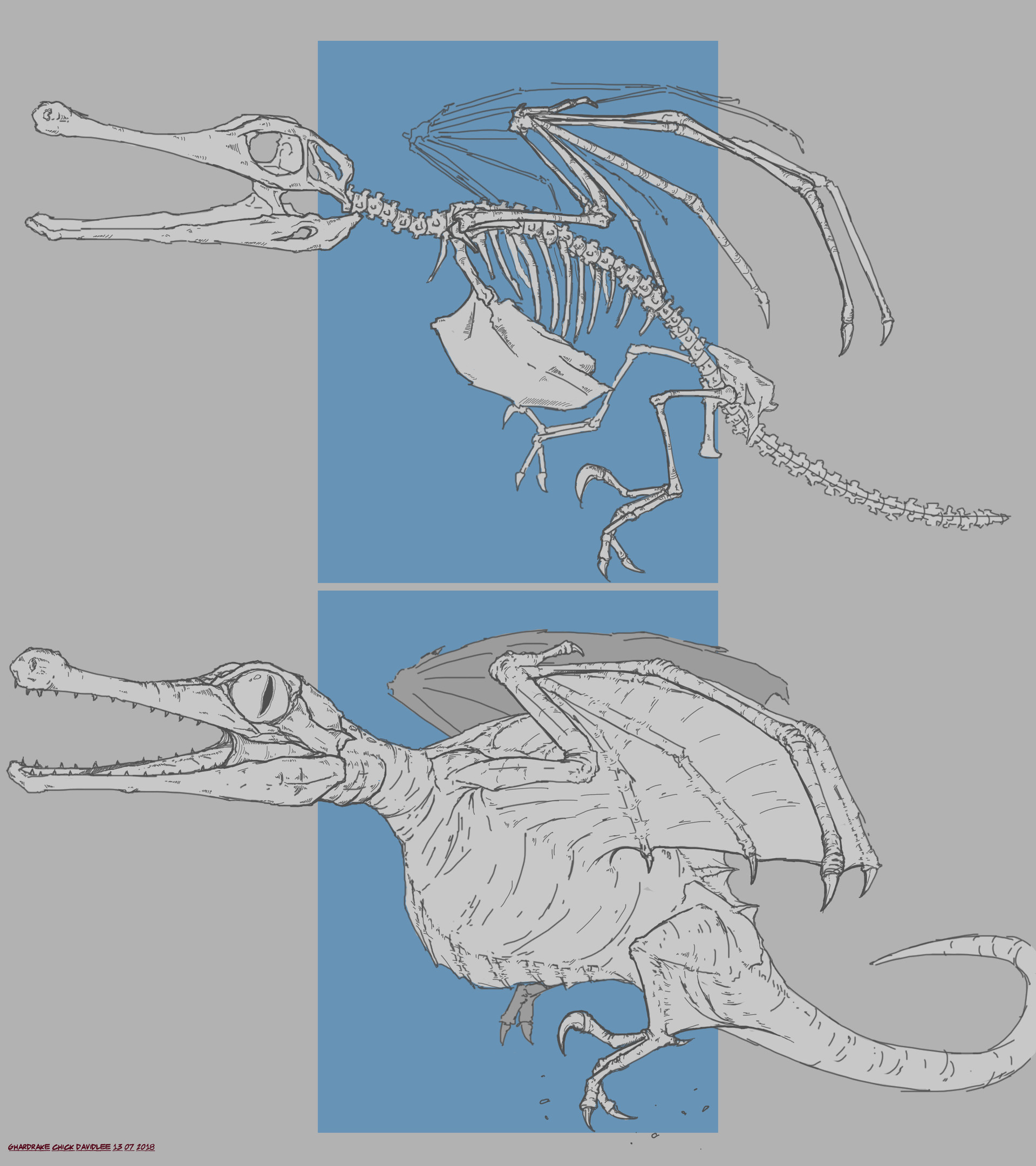 1920x2160 Artstation - Dragon Anatomy Drawing