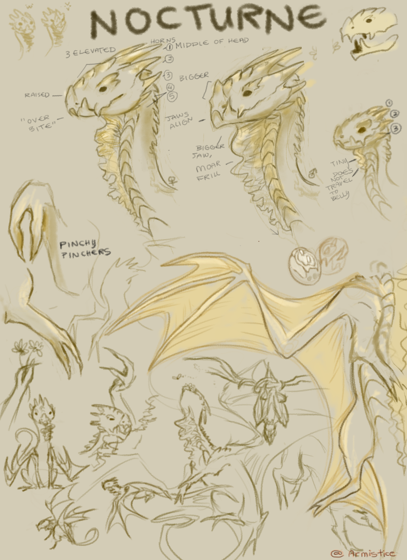 dragon anatomy sketch