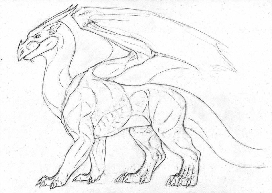 Dragon Anatomy Drawing at Explore collection of