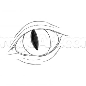 336x336 How To Draw A Dragon Wing Anime For Kids Dragonfly Easy Wmstdc - Dragon Anime Drawing