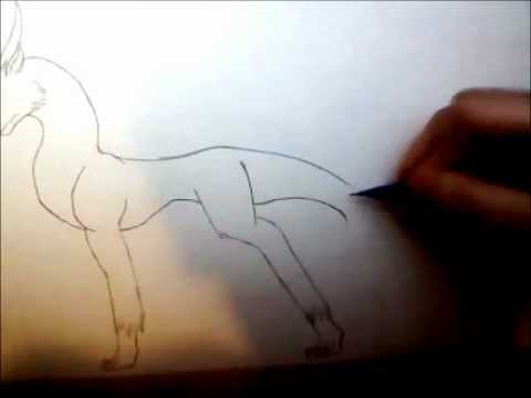 480x360 How To Draw An Anime Like Dragon - Dragon Anime Drawing