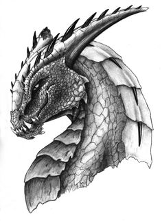 Dragon Art Drawing