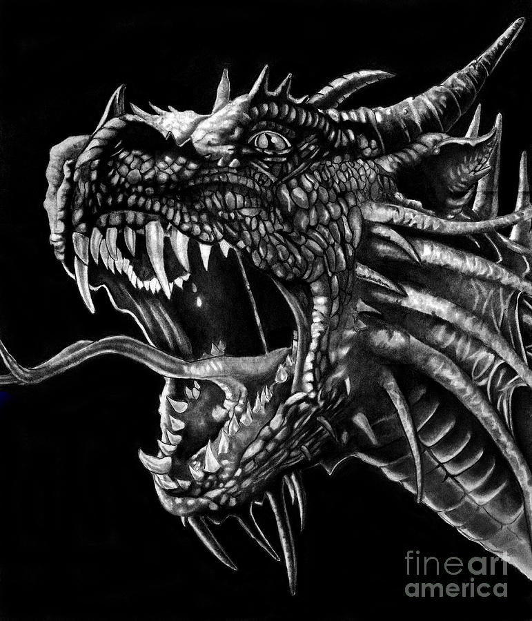 771x900 Dragon Drawing - Dragon Art Drawing