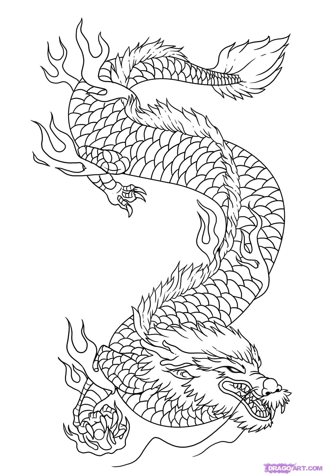 1067x1565 How To Draw Dragon Art, Step - Dragon Art Drawing