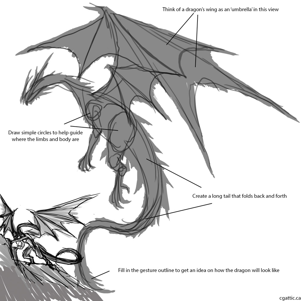 1000x1000 Fantasy Dragon Drawing In Steps With Photoshop - Dragon Body Drawing
