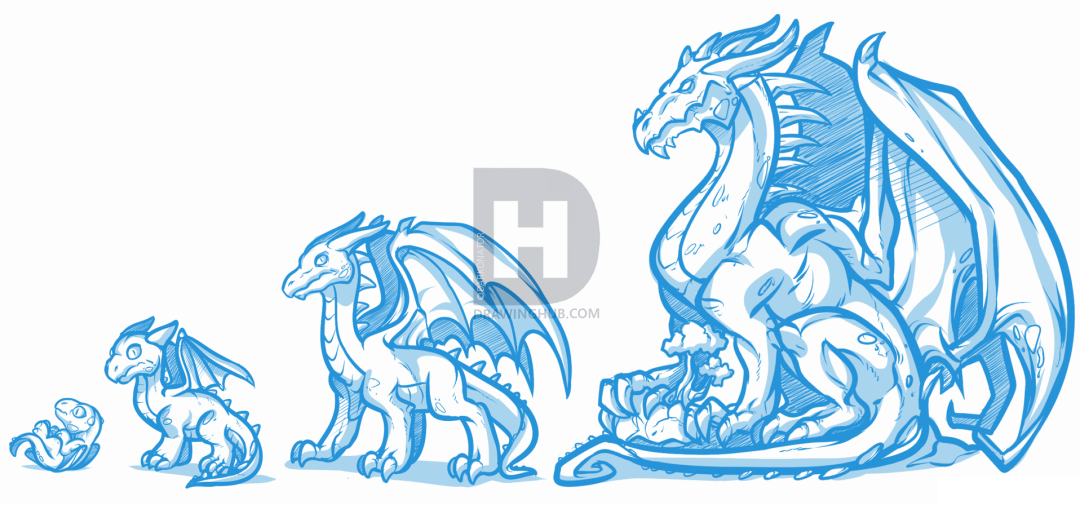 1080x505 How To Draw A Dragon Body, Step - Dragon Body Drawing