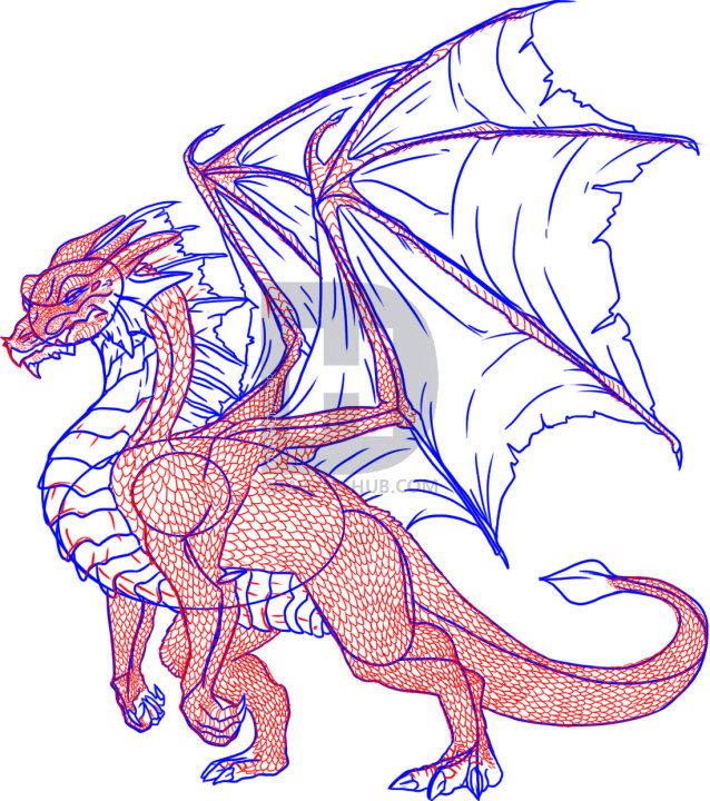 638x720 How To Draw A Dragon Step - Dragon Body Drawing