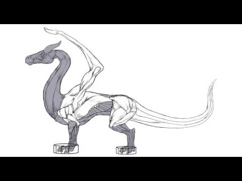 480x360 How To Draw A Dragon Body - Dragon Body Drawing