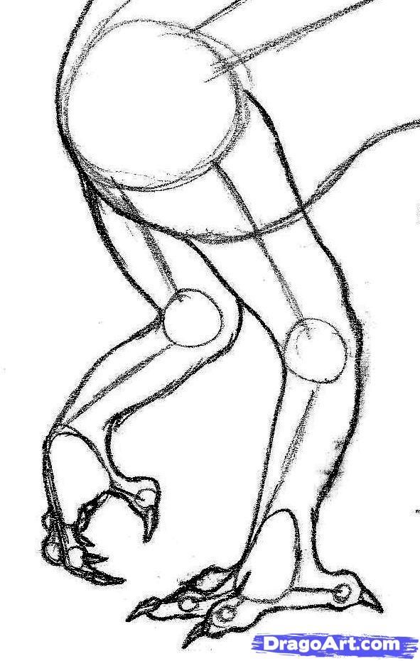 591x931 Image Result For Simple Dragon Body Drawing Mythical Creatures - Dragon Body Drawing