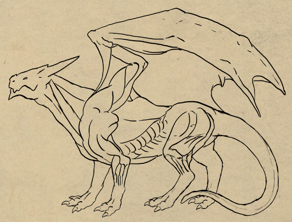 600x458 rawr! how to draw an anatomically correct dragon - Dragon Body Drawing