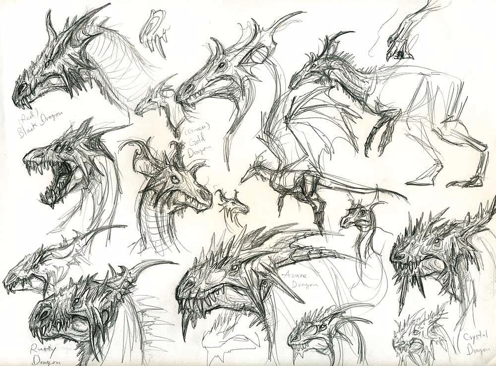 1000x738 drawings of dragon body fantasy dragon head drawing, dragon - Dragon Body Drawing