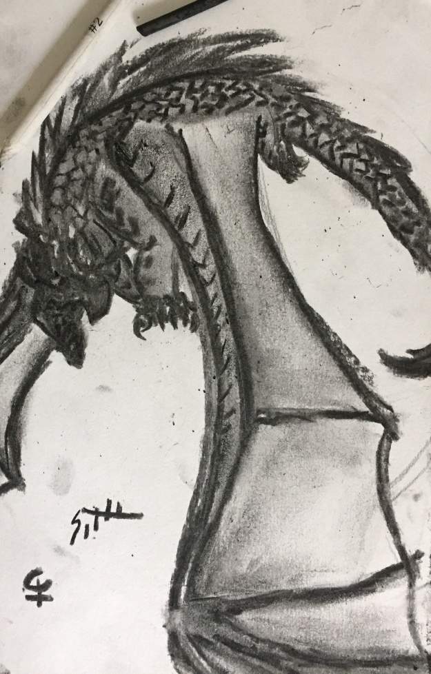 625x978 Charcoal Drawing And Redraw Wings Of Fire Amino - Dragon Charcoal Drawing