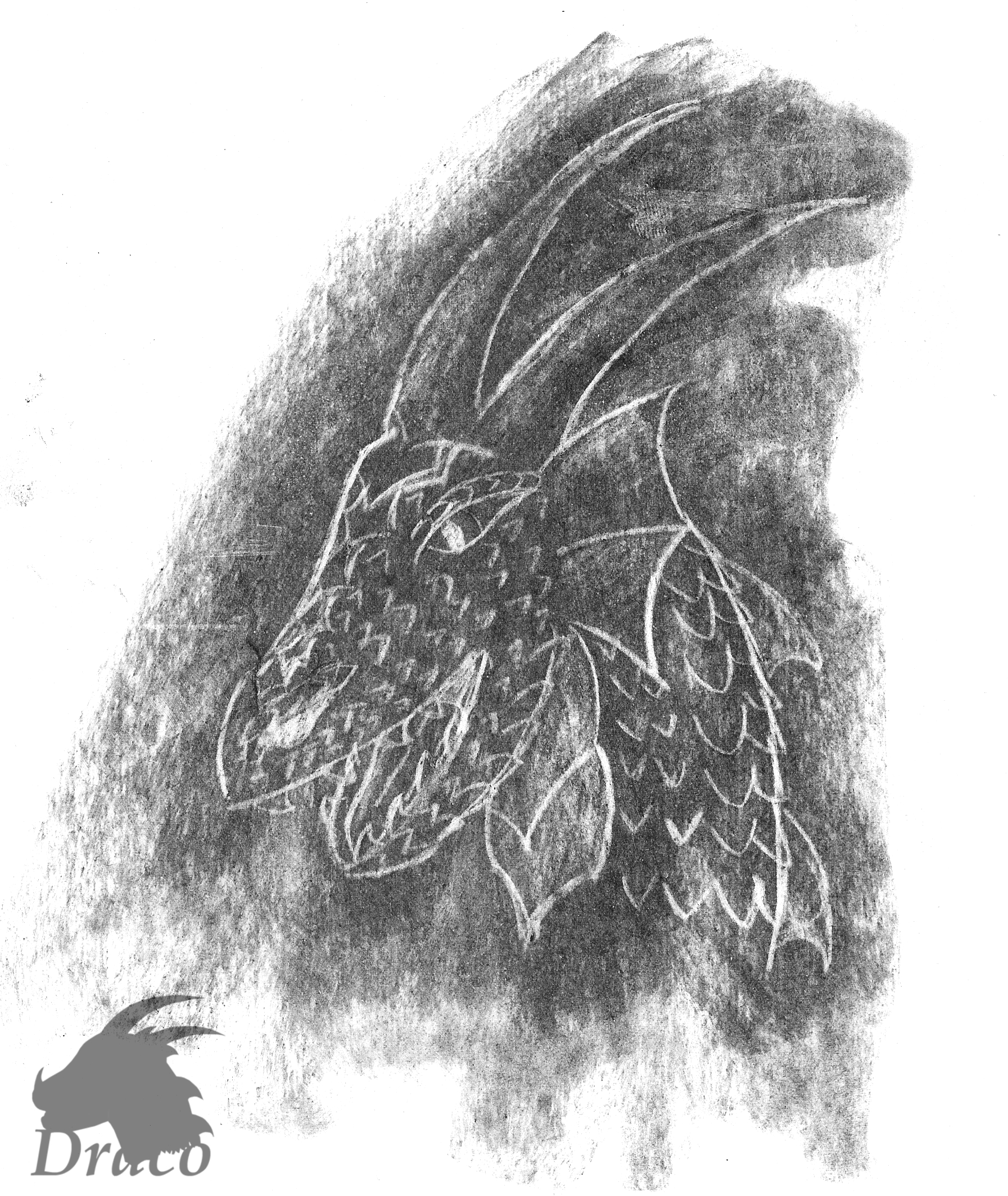 1793x2128 Dragon Head - Dragon Charcoal Drawing