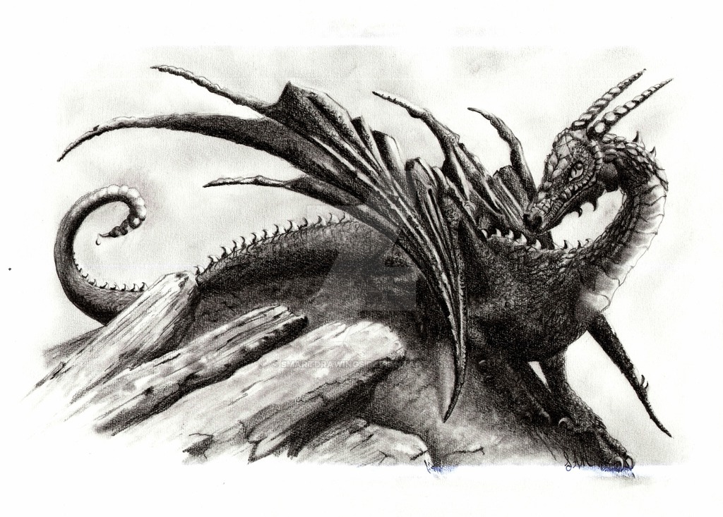 Dragon Charcoal Drawing at PaintingValley.com | Explore collection of ...