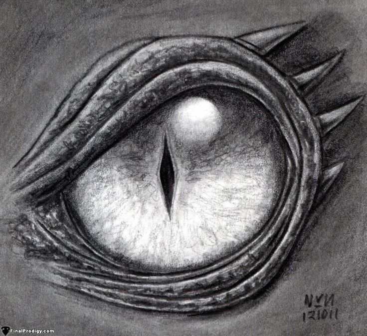 736x673 How To Draw A Dragon Eye - Dragon Charcoal Drawing
