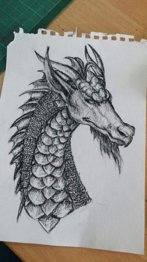 576x1024 Realistic Dragon Charcoal Pencil Art Dragons Amino - Dragon Charcoal Drawing