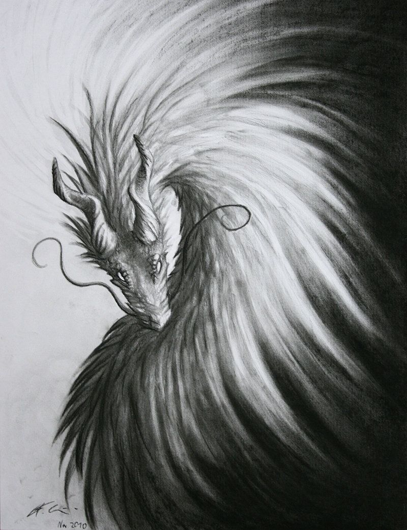 800x1041 Charcoal Dragon - Dragon Charcoal Drawing