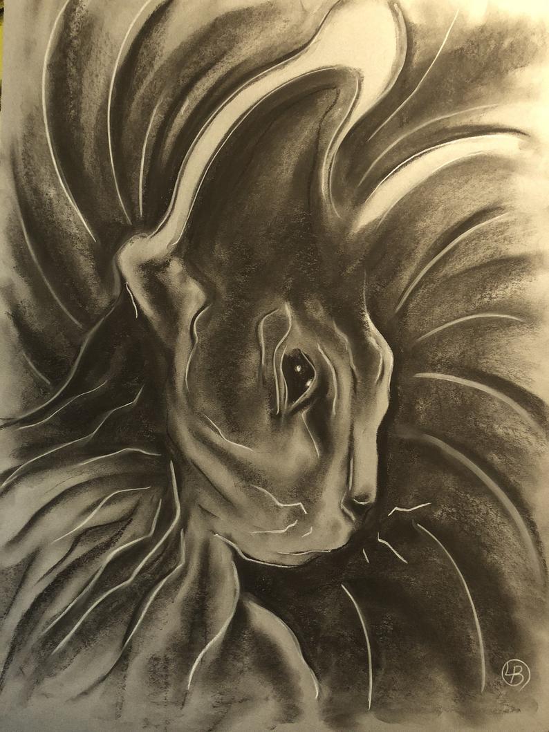 794x1059 Charcoal Cat Etsy - Dragon Charcoal Drawing
