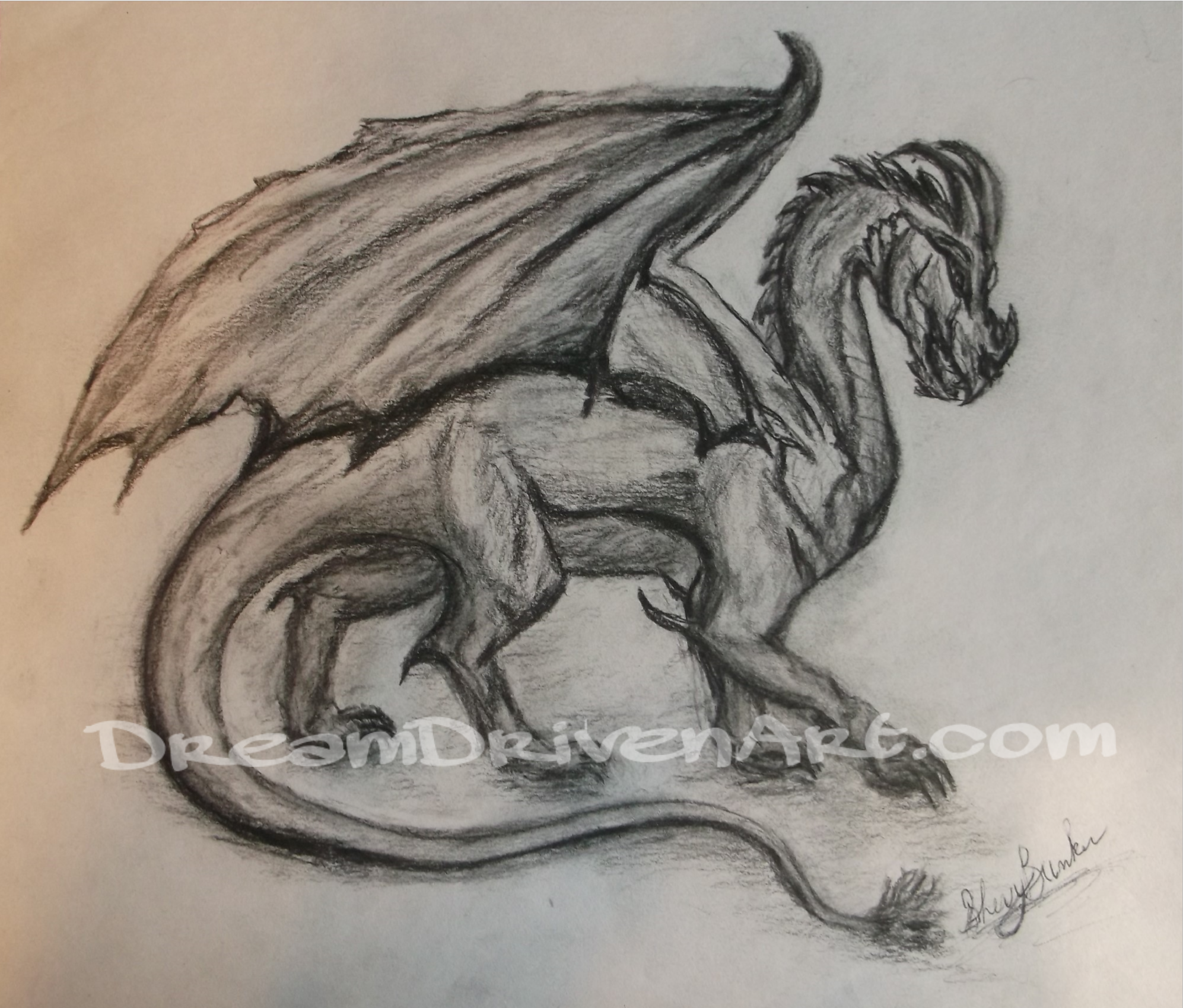 1994x1699 Charcoal Dragon Drawing - Dragon Charcoal Drawing