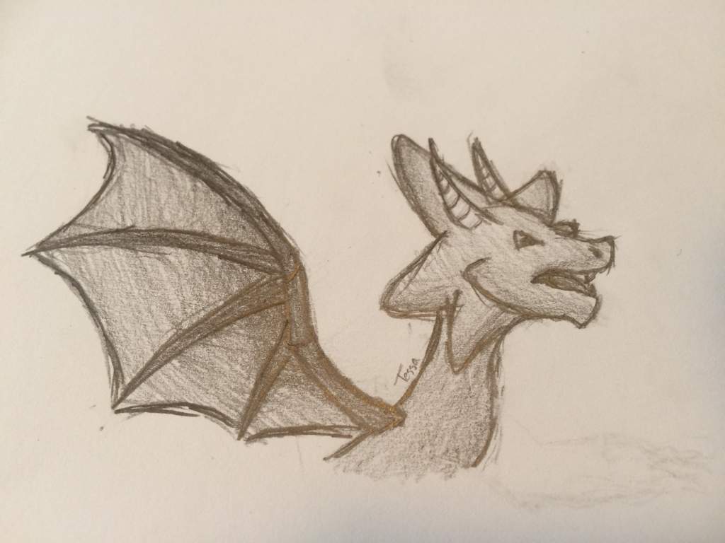 1024x768 Star Dragon Drawing Dragon City! Amino - Dragon City Drawing